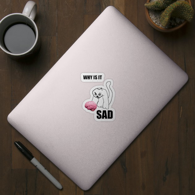 why is it sad cat by InMyMentalEra